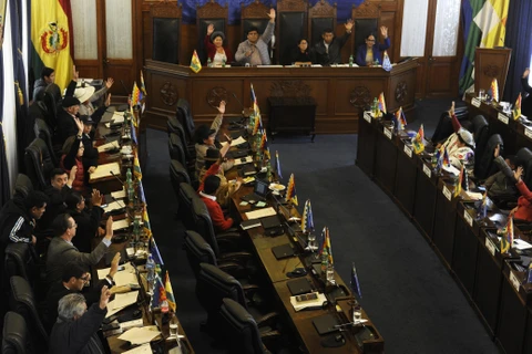  Các nghị sỹ biểu quyết thông qua dự luật tổ chức bầu cử tại phiên họp Quốc hội Bolivia ở La Paz ngày 23/11/2019. (Ảnh: AFP/TTXVN)