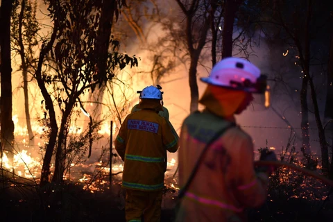 Cháy rừng lan rộng ở Mangrove, cách thành phố Sydney,Australia,khoảng hơn 110km về phía bắc ngày 7/12/2019. (Ảnh: AFP/TTXVN)