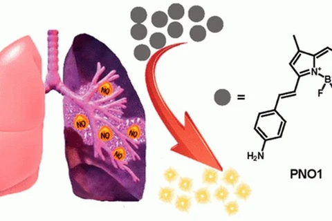 (Nguồn: x-mol.com)