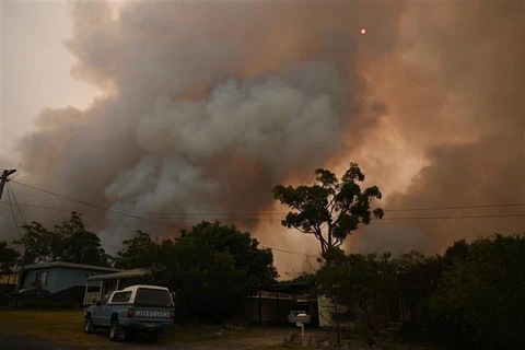 [Video] Khói mù do cháy rừng ở Australia đã lan tới tận Nam Mỹ