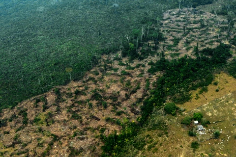 Một khoảng rừng mưa Amazon ở bang Amazonas, Brazil bị cháy rụi ngày 24/8/2019. (Ảnh: AFP/TTXVN)