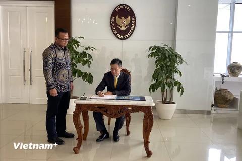 Indonesia sẽ nới lỏng xuất-nhập khẩu tôm hùm giống sang Việt Nam. (Ảnh: Phạm Cường/TTXVN)