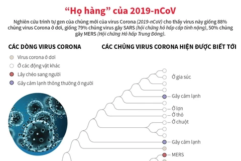 [Infographics] Tìm hiểu những ''họ hàng'' của virus chủng 2019-nCoV