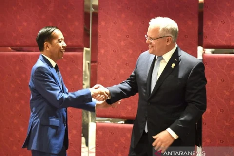 Tổng thống Indonesia Joko Widodo (trái) và Thủ tướng Úc Scott Morrison (phải) tại một cuộc họp bên lề Hội nghị thượng đỉnh ASEAN lần thứ 35 tại Bangkok, Thái Lan, ngày 4/11/2019. (Nguồn: (antaranews.com)