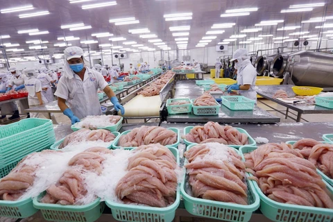 Bộ Nông nghiệp Hoa Kỳ đã chính thức công nhận tương đương hệ thống kiểm soát an toàn thực phẩm cá da trơn của Việt Nam xuất khẩu. (Ảnh: TTXVN)
