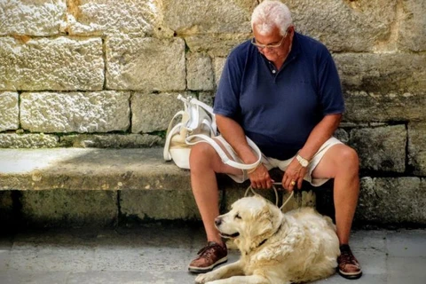 Những con vật nuôi giúp giảm tỷ lệ tự tử ở người cao tuổi. (Nguồn: theleadsouthaustralia.com.au)