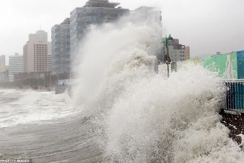 Gió mạnh gây sóng lớn ở bờ biển Hàn Quốc. (Nguồn: Reuters)