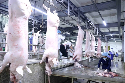 Dây chuyền giết mổ lợn ở nhà máy của Công ty Cổ phần Công nghệ thực phẩm Vinh Anh, huyện Thường Tín, Hà Nội. (Ảnh: Vũ Sinh/TTXVN)