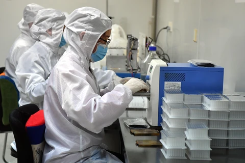 Nhân viên kiểm tra bộ kit xét nghiệm virus Corona tại tỉnh Hà Nam, Trung Quốc, ngày 4/3. (Ảnh: THX/TTXVN)