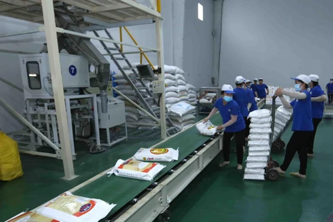 Đóng gói sản phẩm gạo xuất khẩu tại nhà máy của Công ty Cổ phần Nông nghiệp công nghệ cao Trung An, quận Thốt Nốt, thành phố Cần Thơ. (Ảnh: Vũ Sinh/TTXVN)
