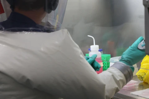 Các nhà khoa học kiểm tra vắcxin phòng COVID-19 tại phòng thí nghiệm ở Geelong, Australia, ngày 2/4/2020. (Ảnh: THX/TTXVN)