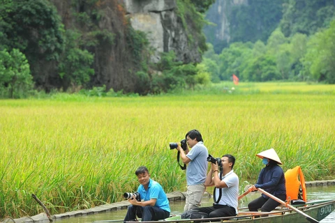 Tam Cốc-Bích Động mùa lúa chín, một trong những điểm đến du lịch đẹp nhất của Ninh Bình. (Ảnh: Minh Đức/TTXVN)