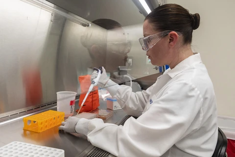 Nghiên cứu phát triển vắcxin phòng COVID-19 tại phòng thí nghiệm Novavax ở Rockville, Maryland, Mỹ ngày 20/3/2020. (Ảnh: AFP/TTXVN)