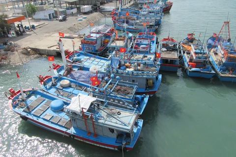 Tàu cá khai thác xa bờ neo đậu tại cảng cá Ninh Chữ (huyện Ninh Hải, Ninh Thuận). (Ảnh: Nguyễn Thành/TTXVN)