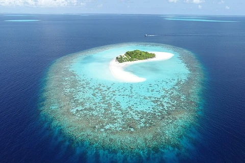 Nghiên cứu mới tuyên bố rằng các đảo san hô, chẳng hạn như Maldives (ảnh), có thể tự thích nghi để sống sót khi mực nước dâng cao. (Nguồn: dailymail.co.uk)