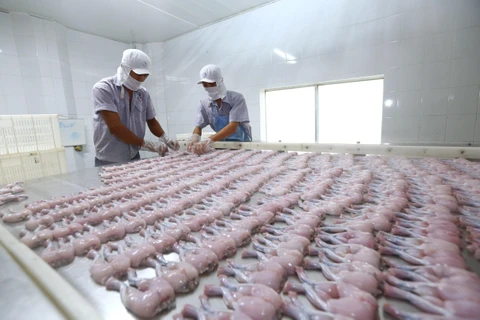 Dây chuyền chế biến thịt ếch xuất khẩu sang EU tại Công ty TNHH Tân Thành Lợi, tỉnh Long An. (Ảnh: TTXVN)