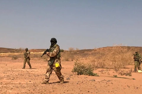 Các tay súng thánh chiến tại Niger. (Nguồn: apa.az)