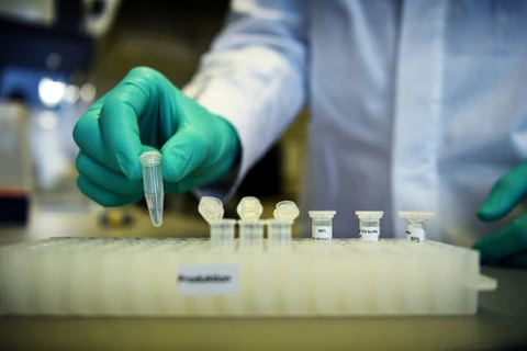 Nghiên cứu vaccine phòng dịch COVID-19 tại phòng thí nghiệm ở Tuebingen, Đức, ngày 12/3/2020. (Ảnh: Reuters/TTXVN)
