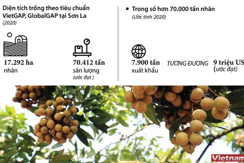 [Infographics] Xuất khẩu 9 triệu USD nhãn Sơn La trong năm 2020