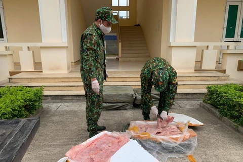 Lực lượng biên phòng Chi Ma (Lạng Sơn) kiểm tra số nầm lợn nhập lậu bị thu giữ. (Ảnh: TTXVN)