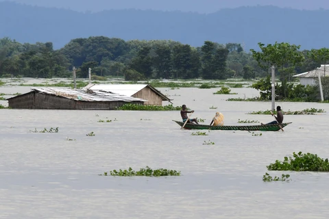 Cảnh ngập lụt sau những trận mưa lớn tại Gagalmari, bang Assam, Ấn Độ, ngày 14/7/2020. (Ảnh: AFP/TTXVN)