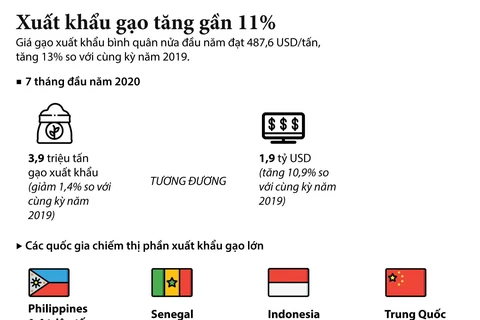 [Infographics] Xuất khẩu gạo trong 7 tháng đầu năm tăng gần 11%