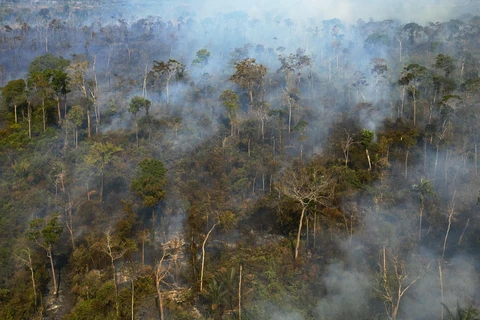 Khói bốc lên từ đám cháy tại rừng Amazon ở bang Mato Grosso, Brazil, ngày 10/8/2020. (Ảnh: AFP/TTXVN)