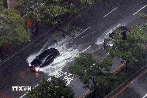 Bão Haishen đổ bộ gây mưa lớn tại thành phố Busan, Hàn Quốc ngày 7/9/2020. (Ảnh: Yonhap/TTXVN)