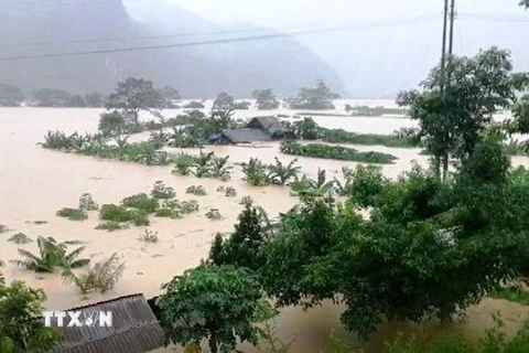 Nhiều nhà dân tại xã Trường Sơn, huyện Quảng Ninh, tỉnh Quảng Bình bị ngập trong nước lũ. (Ảnh: Võ Dung/TTXVN)