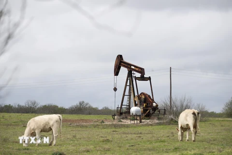 Một trạm bơm dầu ở Luling, bang Texas, Mỹ. (Ảnh: THX/TTXVN)