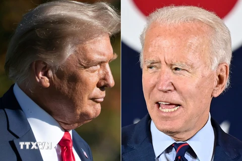 Tổng thống Mỹ Donald Trump (trái) và ứng cử viên Tổng thống của đảng Dân chủ Joe Biden (phải) trong phiên hỏi - đáp riêng rẽ với cử tri tại các bang Florida và Pennsylvania ngày 15/10/2020. (Ảnh: AFP/TTXVN)