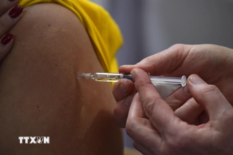 Đức sẽ có vắcxin ngừa COVID-19 vào đầu năm 2021. (Ảnh: AFP/TTXVN)