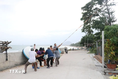 Người dân thôn Mỹ Quang Bắc, xã An Chấn hỗ trợ nhau chặt tỉa cây xanh trước bão số 10. (Ảnh: Phạm Cường/TXVN)