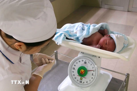 Kiểm tra cân nặng trẻ sơ sinh tại Khoa sanh Bệnh viện Sản-Nhi Cà Mau. (Ảnh: Kim Há/TTXVN)