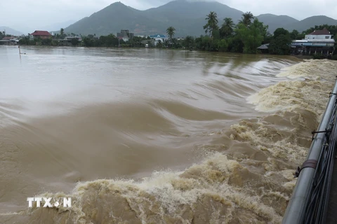 Nước lũ đổ về sông Cái gây ngập lụt cục bộ ở một số địa phương của tỉnh Khánh Hòa. (Ảnh: Phan Sáu/TTXVN)