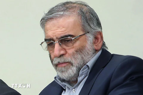 Nhà khoa học hạt nhân Iran Mohsen Fakhrizadeh tại Tehran, ngày 23/1/2019. (Ảnh: AFP/TTXVN)