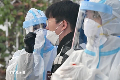 Nhân viên y tế lấy mẫu xét nghiệm COVID-19 cho người dân tại Seoul, Hàn Quốc ngày 27/11/2020. (Ảnh: AFP/TTXVN)