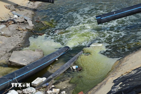 Mẫu nước thải được lấy tại khu vực đường ống xã thải của Công ty trách nhiệm hữu hạn thủy sản Trường Hải, Tuy Hòa, Phú Yên có thông số vượt quy chuẩn kỹ thuật ra môi trường. (Ảnh: TTXVN phát)