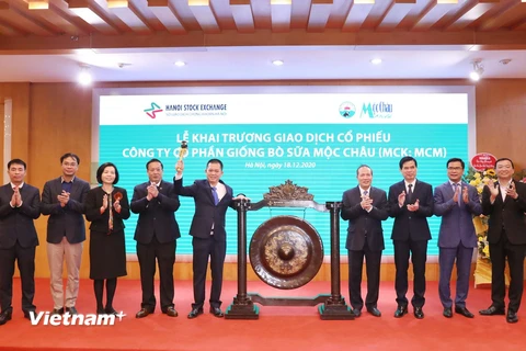 Tổng Giám đốc công ty Mộc Châu Milk thực hiện nghi thức đánh cồng, chính thức khai trương giao dịch cổ phiếu MCM trên sàn UPCOM.