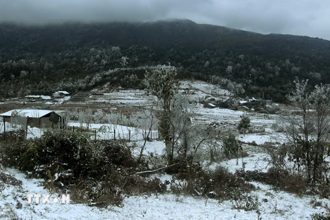 Tuyết rơi phủ trắng làng bản tại xã Y Tý, huyện Bát Xát. (Ảnh: Quốc Khánh/TTXVN)