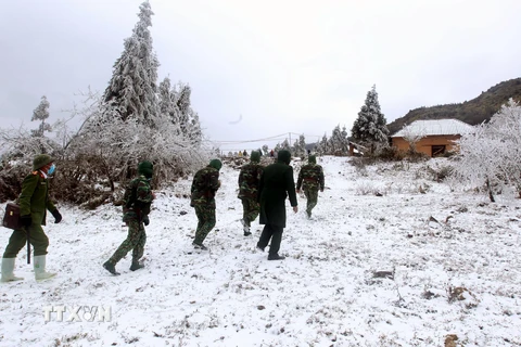 Bộ đội đồn biên phòng Y Tý (Bát Xát, Lào Cai) tuần tra trong điều kiện khắc nghiệt băng giá, mưa tuyết ngày 13/1. (Ảnh: Quốc Khánh/TTXVN)