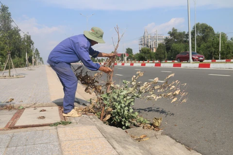 Ông Nguyễn Văn Xinh, phường Long Hương, thành phố Bà Rịa, cắm cành cây tại hố ga bị mất nắp để cảnh báo cho người đi đường. (Ảnh: Hoàng Nhị/TTXVN)