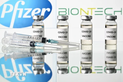 Vắcxin ngừa COVID-19 của hãng dược phẩm Pfizer và BioNTech. (Ảnh: AFP/TTXVN)