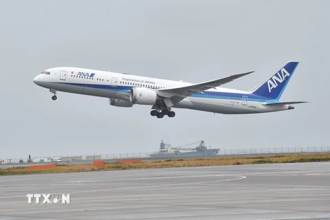 Máy bay của hãng hàng không All Nippon Airways (ANA) hạ cánh xuống sân bay Haneda ở Tokyo, Nhật Bản, ngày 26/11/2019. (Ảnh: AFP/TTXVN)