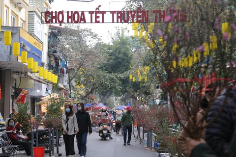 Chợ hoa Tết Hàng Lược, Hà Nội. (Ảnh: Hoàng Hiếu/TTXVN)