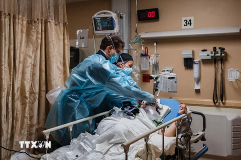 Nhân viên y tế điều trị cho bệnh nhân COVID-19 tại bệnh viện ở California, Mỹ, ngày 11/1/2021. (Ảnh: AFP/TTXVN)