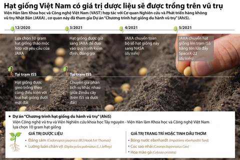 [Infographics] Hạt giống dược liệu của Việt Nam được trồng trên vũ trụ