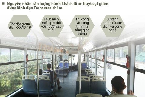 [Infographics] Xe buýt Hà Nội giảm sản lượng, doanh thu do COVID-19