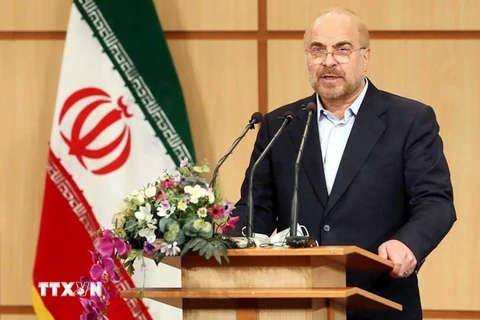 Chủ tịch Quốc hội Iran Mohammad Baqer Qalibaf. (Ảnh: Icana/TTXVN)