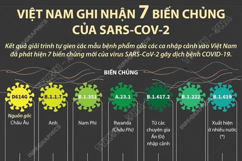 [Infographics] Việt Nam ghi nhận 7 biến chủng của SARS-CoV-2